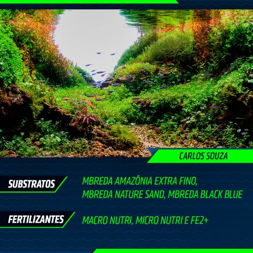 Galeria MBreda