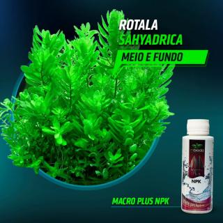 Fertilizante Líquido MacroPlus NPK MBreda