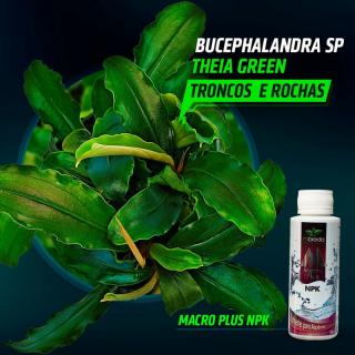 MacroPlus NPK Liquid Fertilizer MBreda