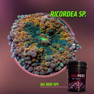 Reef Salt SPS MBreda®